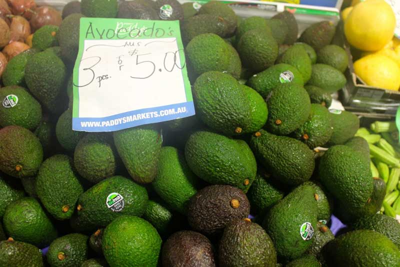 在帕迪市場體驗悉尼市井生活（實習生 魏立憲）