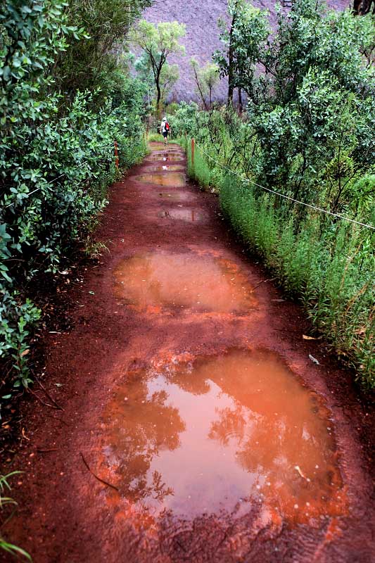  沙漠里剛下過雨，艾爾斯巖山腳下的水坑如珍珠般迷人。（攝影 馬小龍）