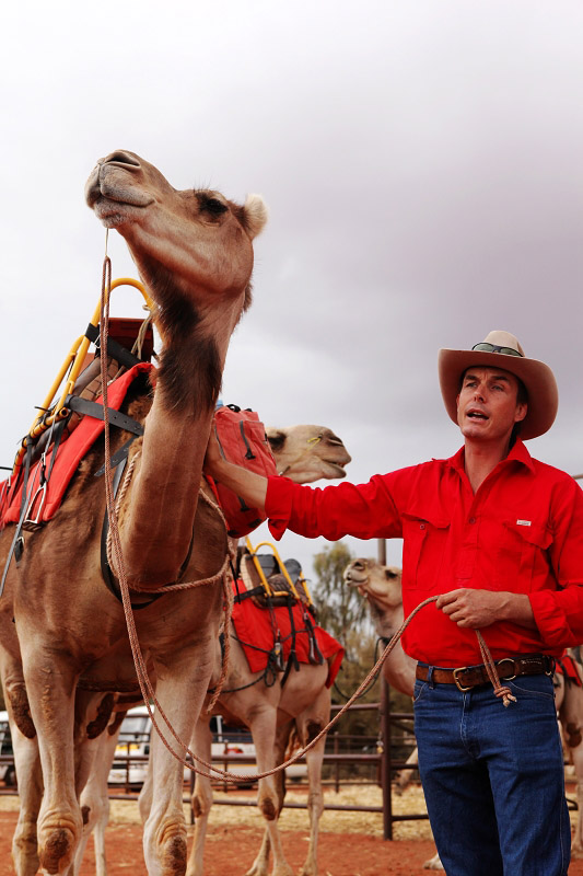 在烏魯魯騎駱駝漫步荒漠是不可錯過的獨特體驗。（攝影 馬小龍）