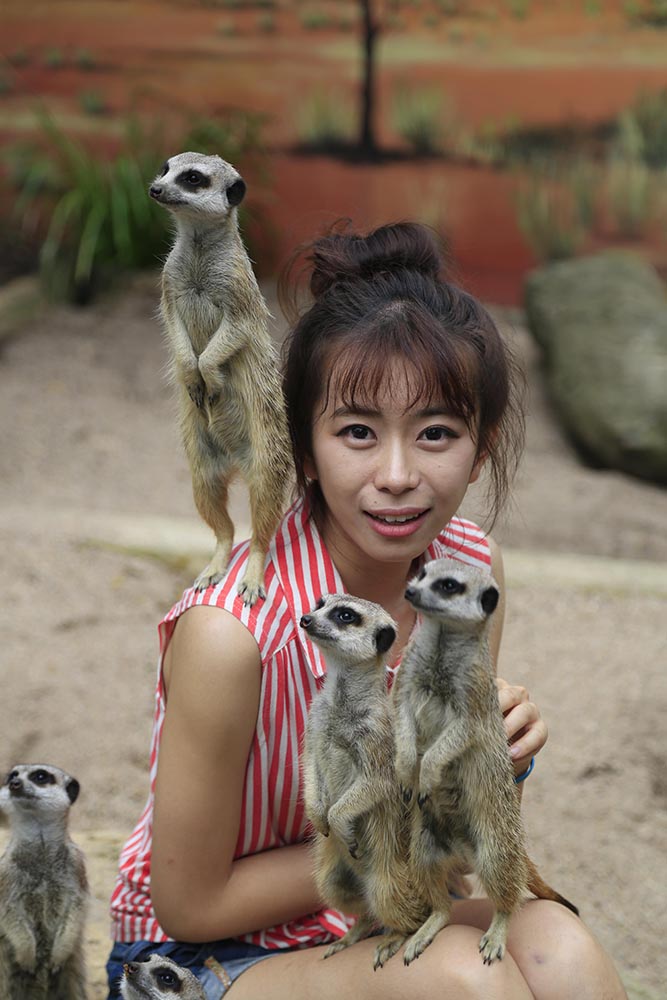 和貓鼬來一次親密接觸（攝影 賀吉）