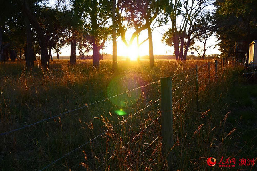 優瑞卡_圣瑞農莊（攝影 趙鐸）