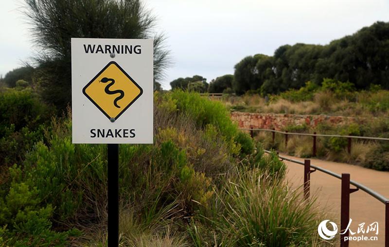 MʮTͽ^lFʾ߳]ӣzӰ R