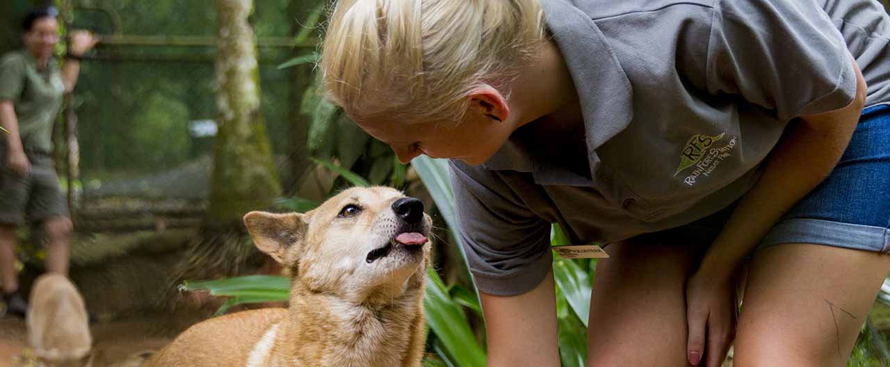 L    ĬFR۶ԪĻ^ʽϙھGײp؈Dv_