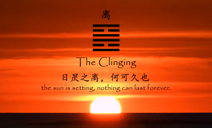 2021w򞪄2021Ҋ؈аѺ΢ҕlِƷ<׽>xIء@áw򞪄SӾSlF׽@ҲmLڰĴľ׽еcڱIص؅^ĔzȻLY^һĻײµ