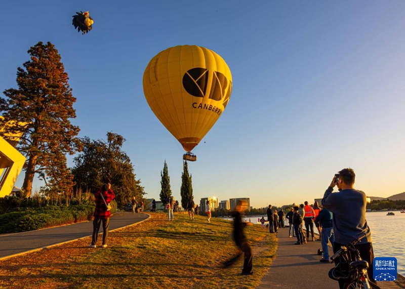 澳大利亞堪培拉舉行熱氣球節【4】