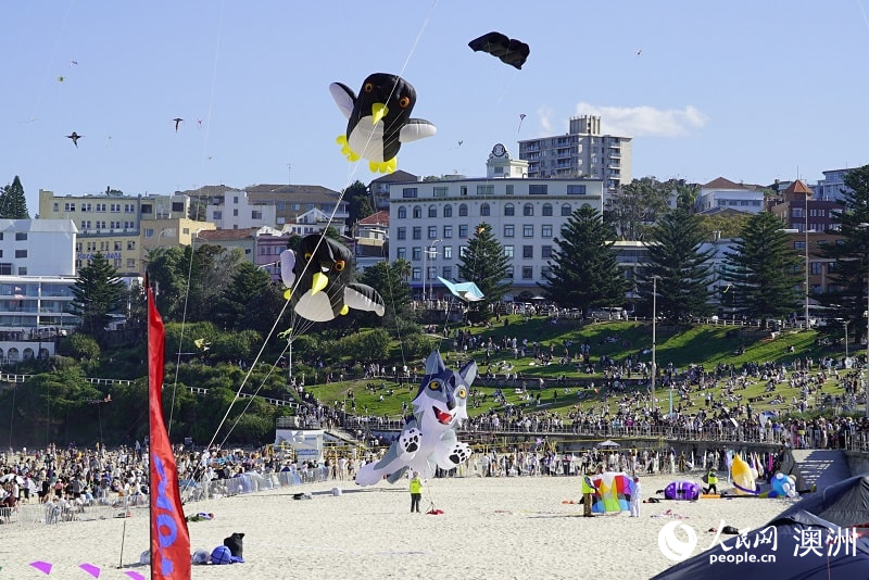 2025年悉尼風箏節活動現場（攝影 石想）