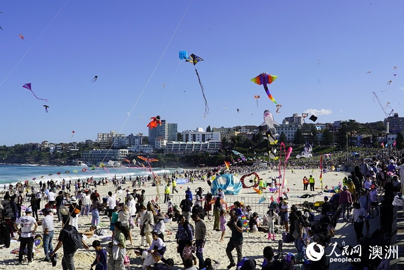 2025年悉尼風箏節活動現場（攝影 石想）